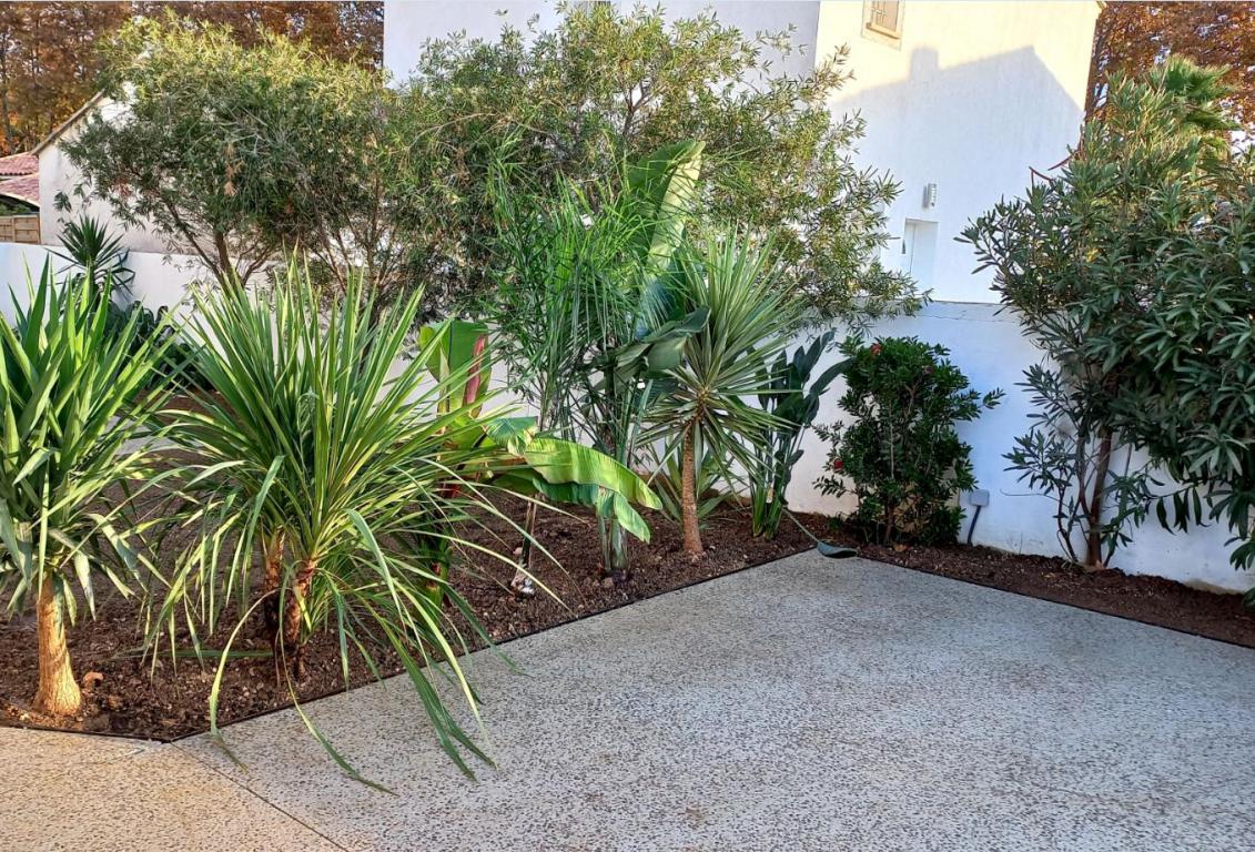 Abattage - ojardin-paysagiste-toulon.fr