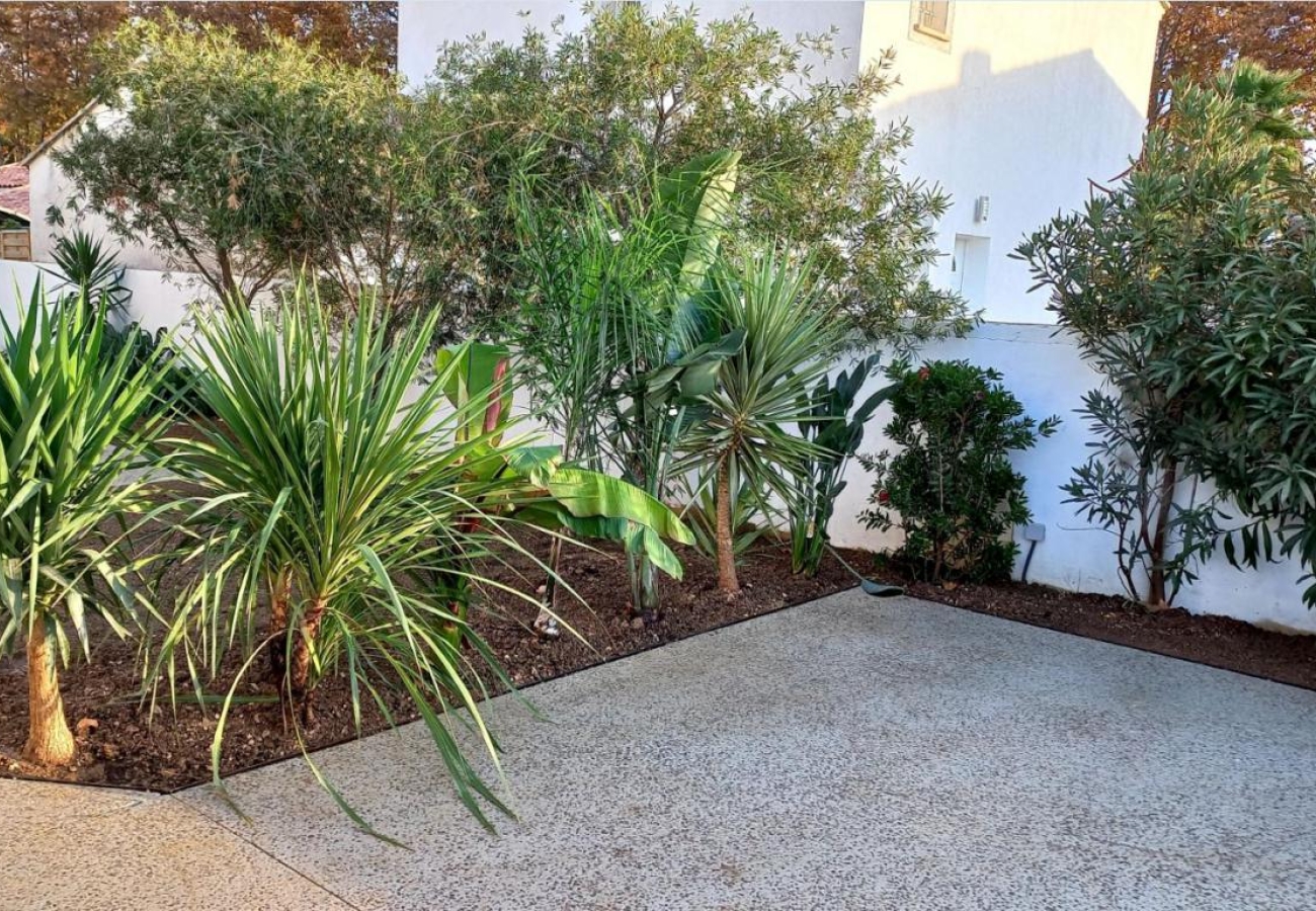terrassement à toulon - ojardin-paysagiste-toulon.fr