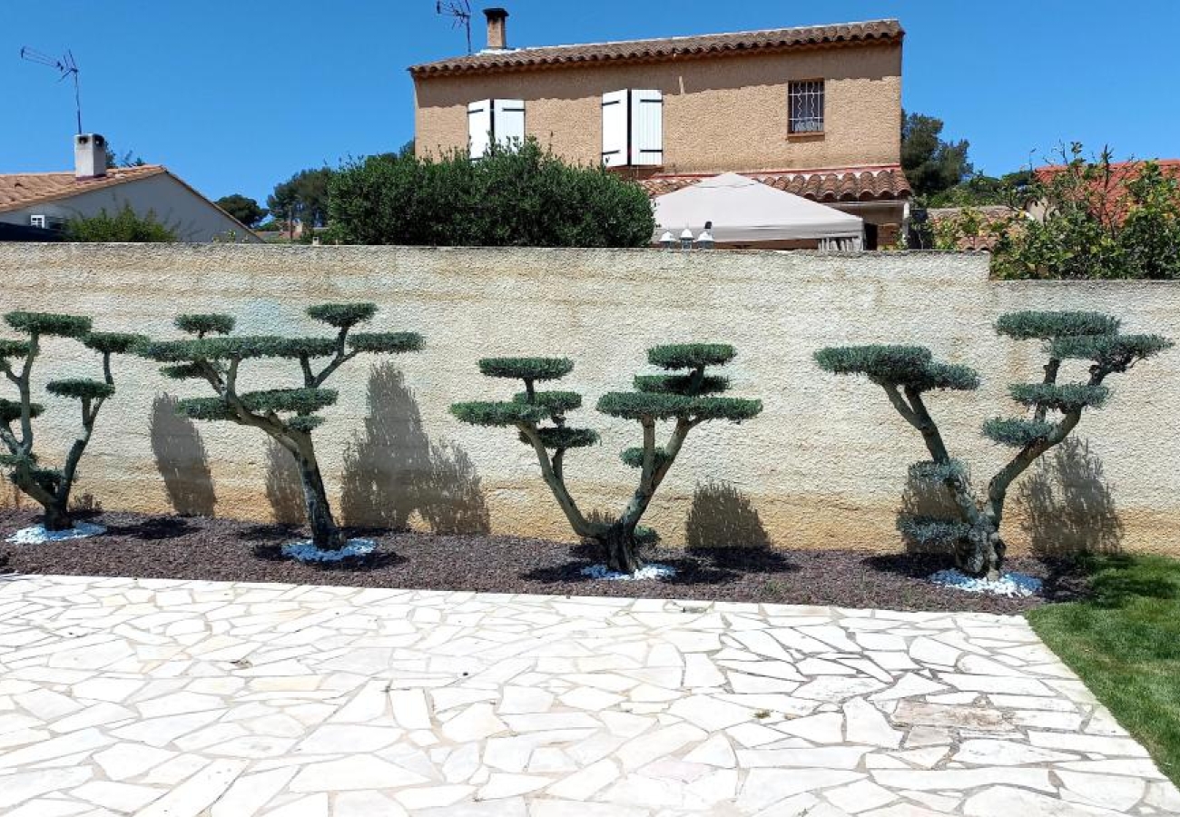 Elagage - ojardin-paysagiste-toulon.fr
